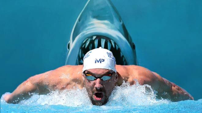 Shark vs. Michael Phelps Odds – White Shark Favorite