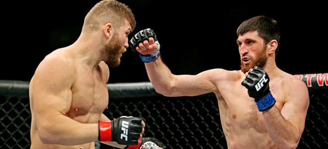 Magomed Ankalaev vs. Ion Cuțelaba UFC Betting 252 Odds, Picks and Breakdown
