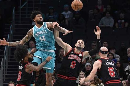 Bulls vs Hornets Jan 31, 2024 – NBA Match Preview