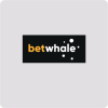 BetWhale Sportsbook Review 2024