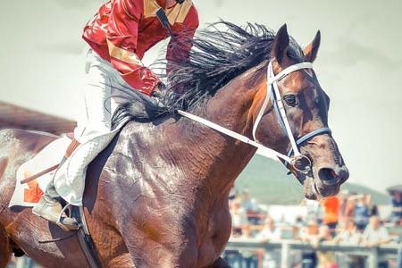 Love of the Horse: The Engine Behind Japan Racing and Breeding Triumph