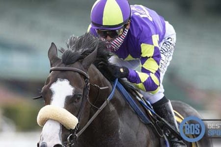 Picking the Dark Horse in the Race for the Roses: The Santa Anita Derby Showdown