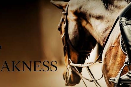 The Thrill of the Chase: Preakness Stakes 2024 Preview