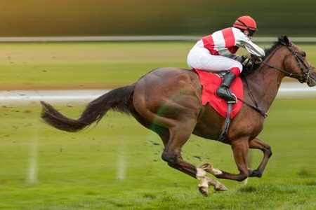 2024 Belmont Stakes – Strategy Guide for Horse Bettors