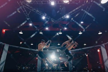 The Role of Weight Classes in UFC Betting Outcomes