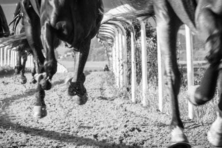Top Horse Racing Events to Bet On at Sports Betting Sites