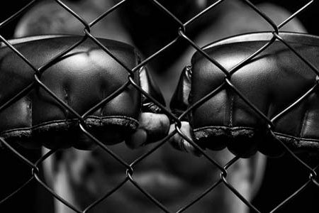 How to Bet on UFC Fights and Find the Best MMA Betting Sites for Bettors in California in 2025