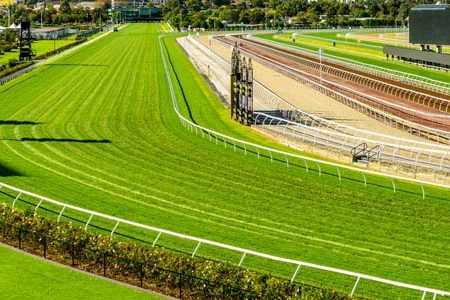 Are Texas Sportsbooks Ready for Virtual Horse Racing’s Future?