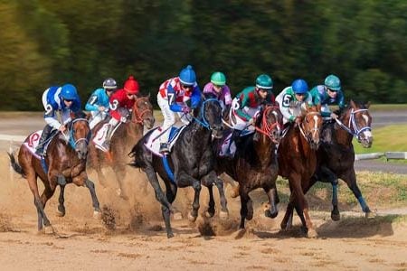 Summer Stakes 2025: Racing Shocker & Betting Impact